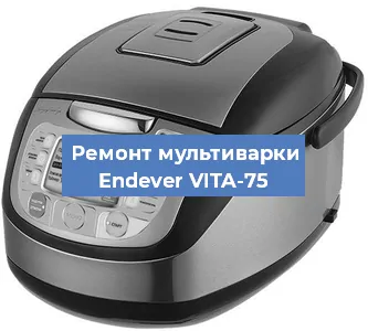 Замена уплотнителей на мультиварке Endever VITA-75 в Санкт-Петербурге